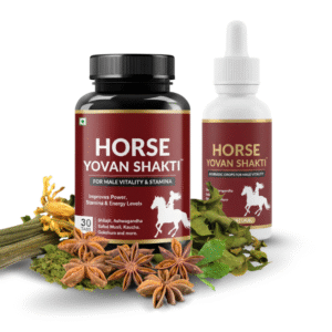 Horse Yovan Shakti